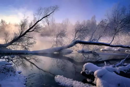 连锁超市赘肉换牛肉——健康生活新选择